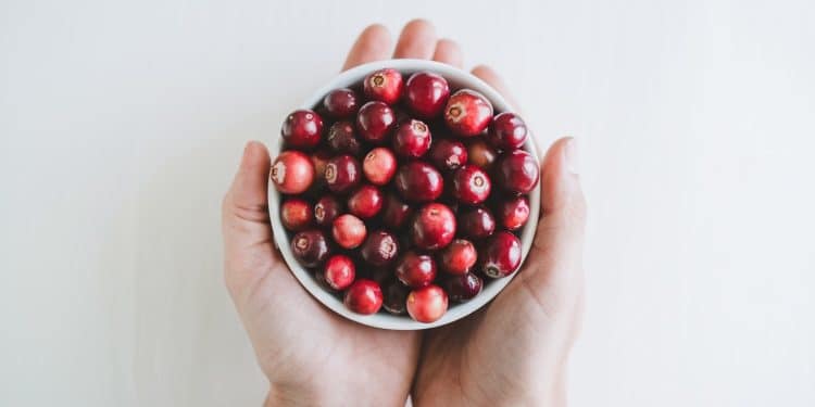 Les Bienfaits Étonnants des Canneberges pour Votre Santé - Viral Mag Les canneberges regorgent de bienfaits pour la santé Découvrez comment ces petits fruits rouges peuvent prévenir les infections urinaires et plus encore Viral Mag