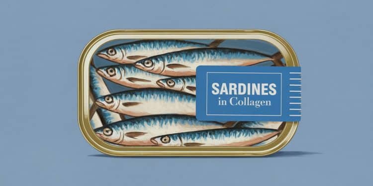 Les Bienfaits Étonnants des Sardines, Aliment Riche en Collagène - Viral Mag Découvrez pourquoi les sardines sont laliment star à Costco pour booster votre apport en collagène et améliorer votre santé globale Viral Mag
