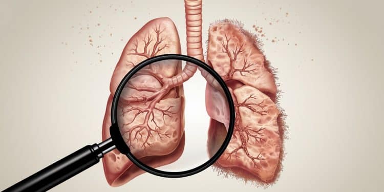 Les Bienfaits Étonnants du Défi « 30 Jours Sans Tabac » - Viral Mag Découvrez les bénéfices surprenants pour votre corps et votre porte monnaie lorsque vous relevez le challenge du mois sans tabac Prêt à tenter lexpérience Viral Mag