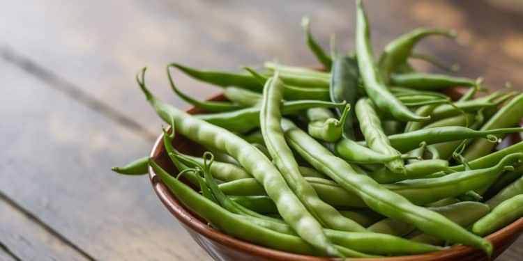 Les Bienfaits Insoupçonnés des Haricots Verts pour la Santé - Viral Mag Découvrez les vertus étonnantes des haricots verts pour votre bien être Riches en nutriments essentiels ils vous aident à rester en forme    Viral Mag