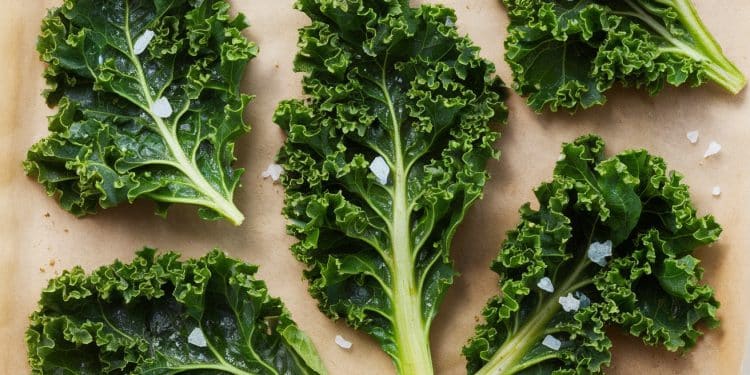 Découvrez la recette ultra simple des chips de kale au four le snack healthy et croustillant qui va révolutionner vos apéros Nos astuces inside   Viral Mag