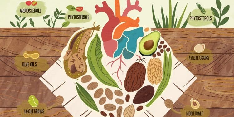 Les Phytostérols : Alliés Contre Les Maladies Cardiovasculaires ? - Viral Mag Découvrez le potentiel des phytostérols pour réduire le cholestérol et protéger le cœur Bienfaits limites tout ce quil faut savoir   Viral Mag