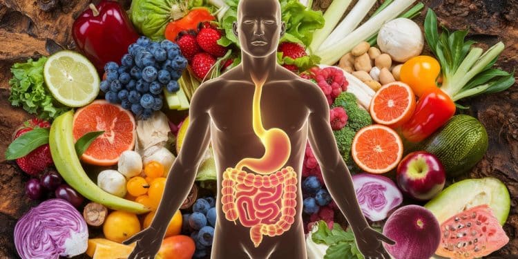Les Secrets Pour une Santé Intestinale Optimale - Viral Mag Découvrez comment la santé intestinale influence presque tous les systèmes de votre corps et apprenez les clés pour laméliorer naturellement Viral Mag