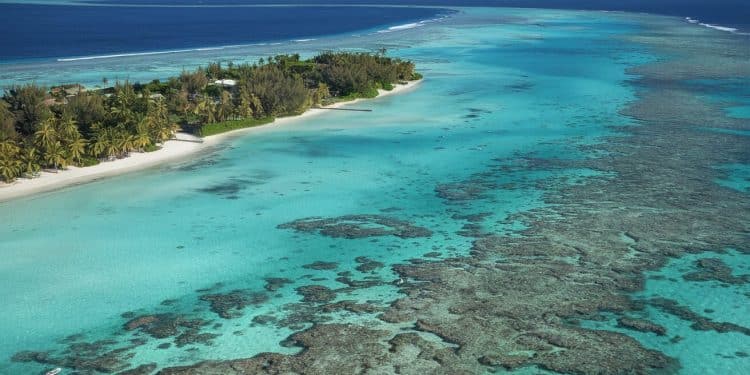 Les Trésors Cachés des Plus Belles Plages Réunionnaises - Viral Mag Découvrez les plus belles plages de La Réunion véritables joyaux de lîle intense Des lagons bleus turquoises aux plages de sable noir laissez vous envoûter par ces paradis insulaires Viral Mag