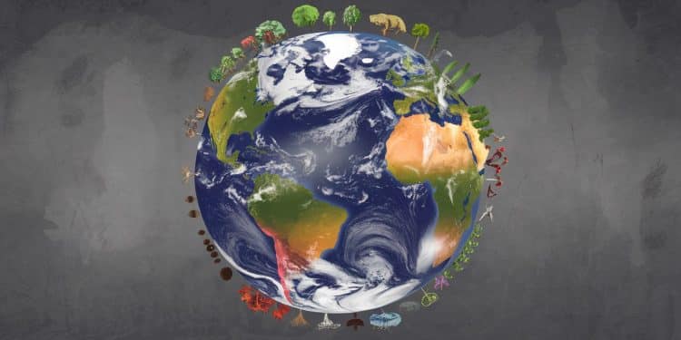L’état Alarmant de la Nature Révélé à la COP16 Biodiversité - Viral Mag Un constat scientifique sans appel  la nature est gravement menacée à léchelle mondiale Découvrez les chiffres clés et les solutions envisagées lors de la COP16 Biodiversité   Viral Mag