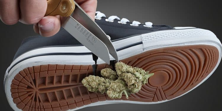 Un cordonnier français a été condamné pour avoir introduit du cannabis dans des baskets destinées à des détenus Découvrez les détails surprenants de cette affaire insolite   Viral Mag