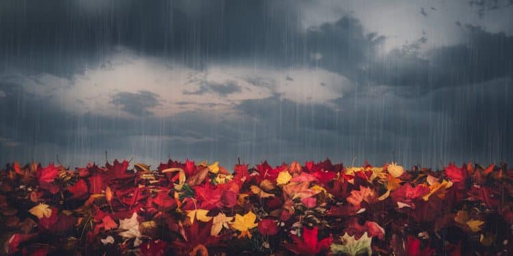 Météo du 30 octobre : Un temps automnal s’installe sur la France - Viral Mag La météo du mercredi 30 octobre annonce un temps typiquement automnal sur lensemble de la France Découvrez les prévisions détaillées pour votre région Viral Mag