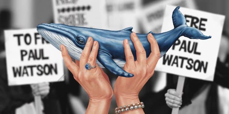 Mobilisation à Paris pour libérer l’écologiste Paul Watson - Viral Mag Des manifestants se rassemblent à Paris pour exiger la libération de Paul Watson militant écologiste détenu au Groenland et menacé dextradition vers le Japon Viral Mag