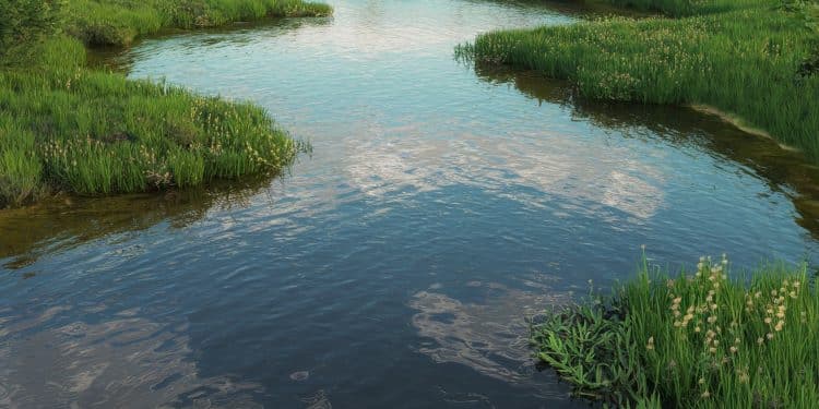 Pollution et Accès à l’Eau : La Lutte pour Protéger le Fleuve Charente - Viral Mag Découvrez comment associations et élus écologistes sunissent pour défendre le fleuve Charente menacé par la pollution et les pénuries deau Un combat pour reconnaître les droits de ce bien commun essentiel Viral Mag