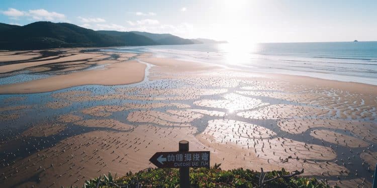 Quand les Touristes Asiatiques Déferlent sur Martin Plage - Viral Mag Martin Plage haut lieu de la pêche à pied en Côtes dArmor attire des centaines de pêcheurs asiatiques à chaque grande marée Découvrez ce phénomène de mode qui intrigue les locaux Viral Mag