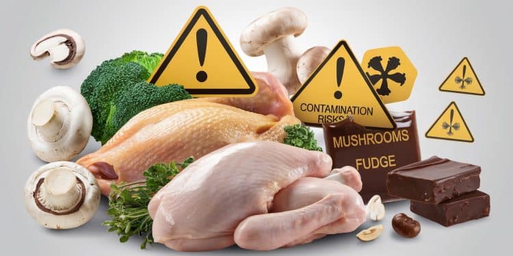 Rappels inquiétants : de la volaille au chocolat contaminés - Viral Mag Poulet champignons et autres aliments rappelés en raison de contaminations à la listeria et autres bactéries Que faut il vérifier durgence dans vos placards    Viral Mag