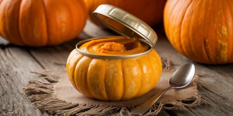 Test de 7 Purées de Citrouille en Boîte : La Meilleure Révélée - Viral Mag Découvrez notre test de 7 purées de citrouille en boîte et laquelle est la grande gagnante pour vos recettes automnales Tous les détails Viral Mag