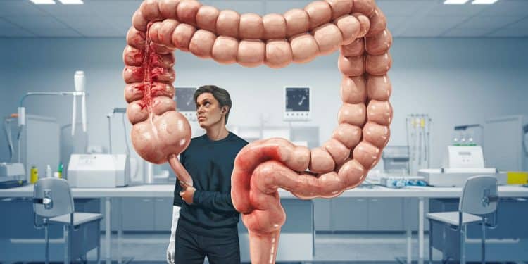 5 Conseils d’Experts pour Gérer un Diagnostic de SII - Viral Mag Découvrez les 5 conseils essentiels des experts pour prendre en main votre nouvelle vie avec le Syndrome de lIntestin Irritable Des astuces pratiques pour mieux vivre avec le SII au quotidien Viral Mag