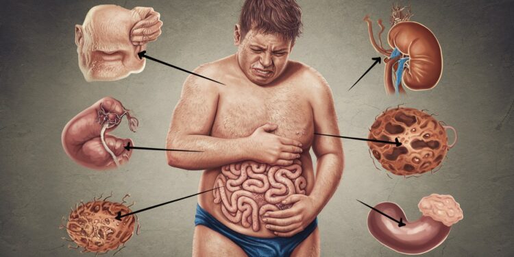 6 Signes Inquiétants d’un Excès de Protéines : Les Risques sur la Santé - Viral Mag Trop de protéines peut nuire à la santé déshydratation problèmes digestifs haleine reins prise de poids fatigue Apprenez à repérer les signes dun excès Viral Mag