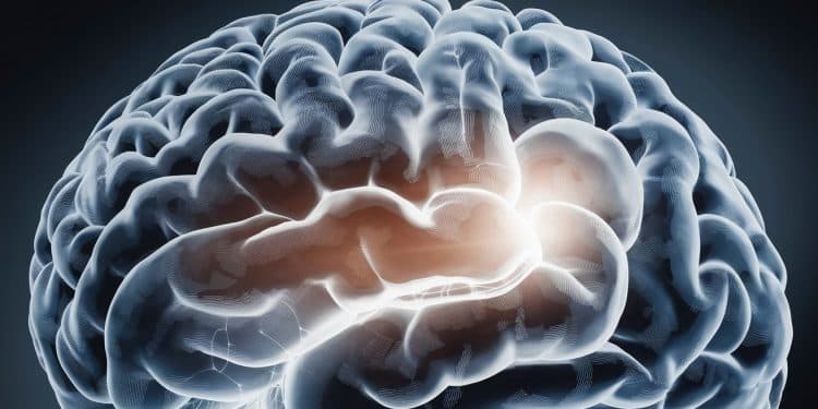 Alzheimer : Leqembi, Un Traitement Prometteur Approuvé En Europe - Viral Mag LEMA vient dapprouver le Leqembi un nouveau traitement attendu contre Alzheimer pour certains patients à un stade précoce Découvrez les détails de cette avancée médicale majeure Viral Mag