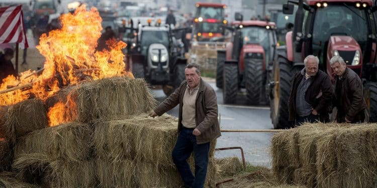 Colère des agriculteurs français : un lundi de blocages - Viral Mag Les agriculteurs français se mobilisent ce lundi 18 novembre contre laccord Mercosur et les promesses non tenues du gouvernement avec des feux de colère et des barrages filtrants partout en France Viral Mag