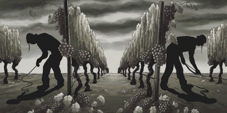 Condamnations Pour Traite d’Êtres Humains Dans Les Vignobles Bordelais - Viral Mag Un père et son fils marocains ont été condamnés à de la prison ferme pour avoir exploité leurs compatriotes dans les vignes du vin de Bordeaux Dautres cas similaires ont été mis au jour dans la région Viral Mag