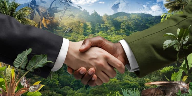 COP16 Biodiversité : Un Compromis Proposé à la Dernière Minute - Viral Mag La présidence colombienne de la COP16 a dévoilé un projet daccord in extremis sur le financement et le contrôle des efforts pour stopper la destruction du vivant Viral Mag