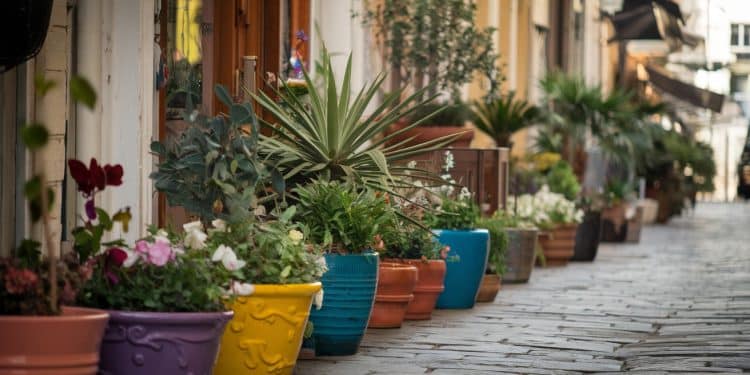 Jean Jacques un retraité de 67 ans a réussi à faire fuir les dealers de sa rue en installant 141 jardinières Un exemple de lutte contre les nuisances par la végétalisation à suivre   Viral Mag