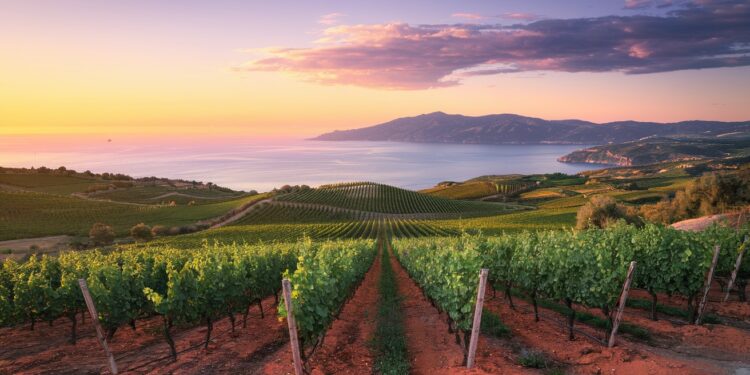 Le Domaine de La Bégude produit des vins dexception dans un micro climat unique à 410 mètres daltitude faisant de lui le domaine le plus septentrional de lAOC Bandol   Viral Mag