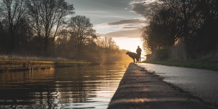 Drame à Marcq-en-Barœul : Un homme tué par un SDF en promenant un chien - Viral Mag Un quinquagénaire a été poignardé à mort par un SDF dimanche soir à Marcq en Barœul alors quil promenait le chien dun ami au bord du canal Viral Mag