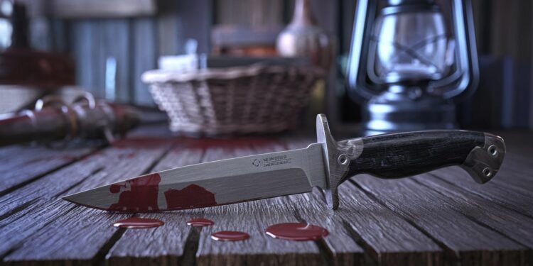 Femme mise en examen pour le meurtre de sa mère à Magny-en-Vexin - Viral Mag Une femme de 31 ans a été mise en examen et écrouée pour le meurtre de sa mère de 65 ans à coups de couteau à Magny en Vexin Un drame familial qui choque la commune Viral Mag