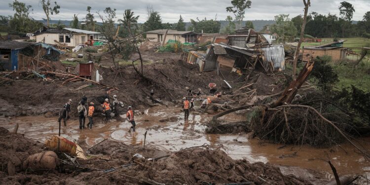 LOuganda frappé par des glissements de terrain meurtriers suite à de fortes pluies Le bilan provisoire monte à 20 morts et plus de 100 disparus   Viral Mag
