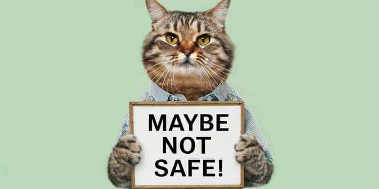 Militants Greenpeace déposent débris boueux de tornade dAfrique du Sud pour demander taxation géants pétroliers et gaziers Manifestations mondiales pendant COP29   Viral Mag