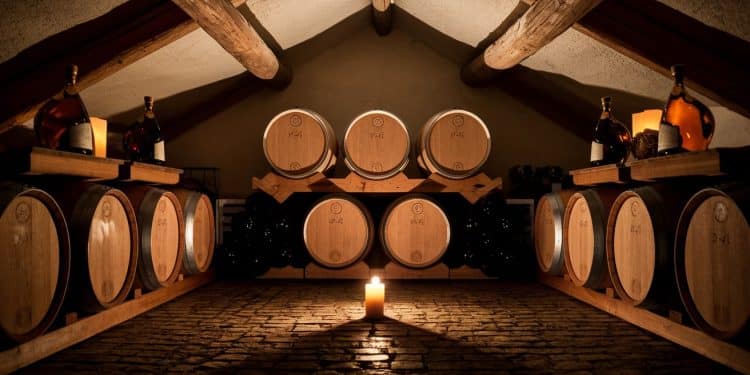 Grève Chez Hennessy : L’Export en Vrac vers la Chine Fait Débat - Viral Mag Près de 600 salariés dHennessy en grève contre un projet dexport en vrac vers la Chine Découvrez les enjeux de cette polémique et ses potentielles répercussions sur lemploi et la filière du cognac Viral Mag