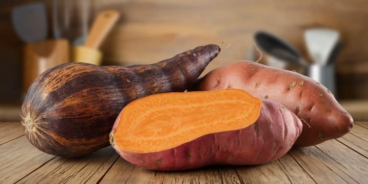 Ignames vs patates douces : quelle est la différence ? - Viral Mag Les ignames et patates douces sont souvent confondues Découvrez leurs différences  origines apparences goûts et usages culinaires   Viral Mag