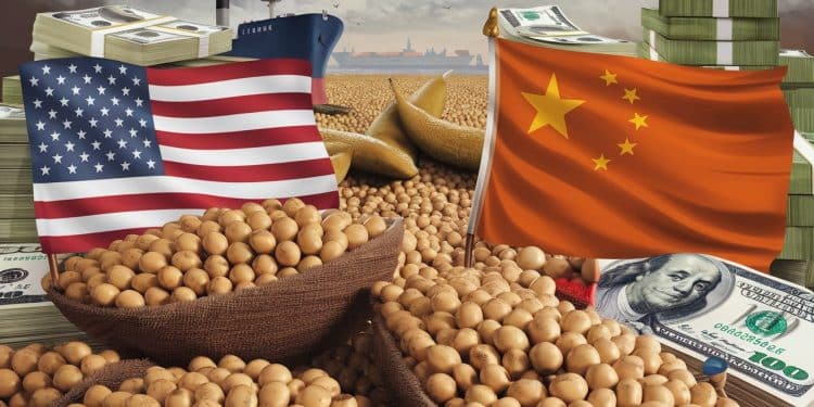 Le retour de Trump à la Maison Blanche ravive les inquiétudes sur le soja américain Les prix baissent face à une possible escalade des tensions commerciales avec la Chine   Viral Mag