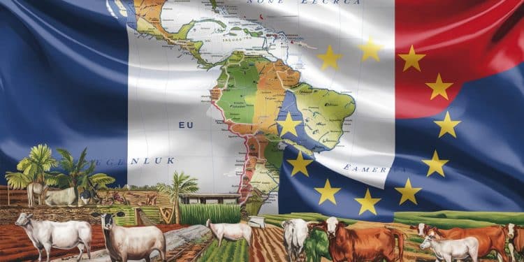 L’Accord Mercosur Remis en Question par la France - Viral Mag La France continue de sopposer à laccord de libre échange entre lUE et le Mercosur malgré la pression Découvrez les enjeux et les raisons de cette opposition   Viral Mag