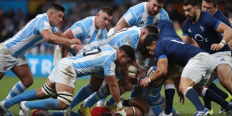 L’Argentine Prête à Défier Les Bleus avec Son Équipe Redoutable - Viral Mag LArgentine aligne ses meilleurs joueurs pour le choc face à la France Kremer et Carreras de retour les Pumas veulent créer la surprise Viral Mag