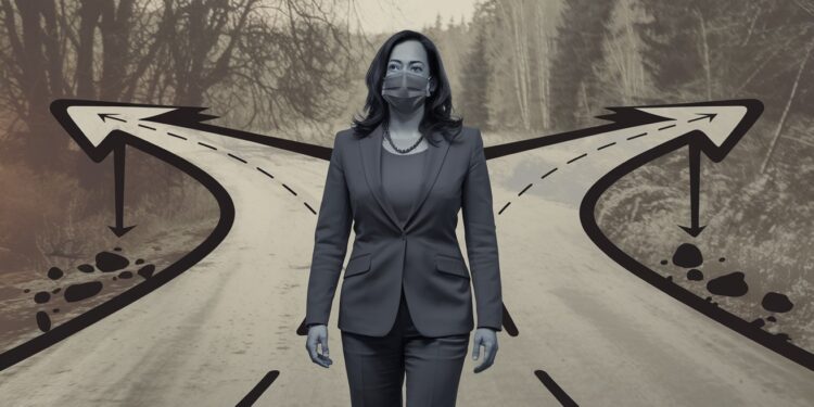 Après sa défaite face à Trump Kamala Harris se trouve à la croisée des chemins Quelles options soffrent à elle pour rebondir et rester une figure de proue du parti démocrate    Viral Mag