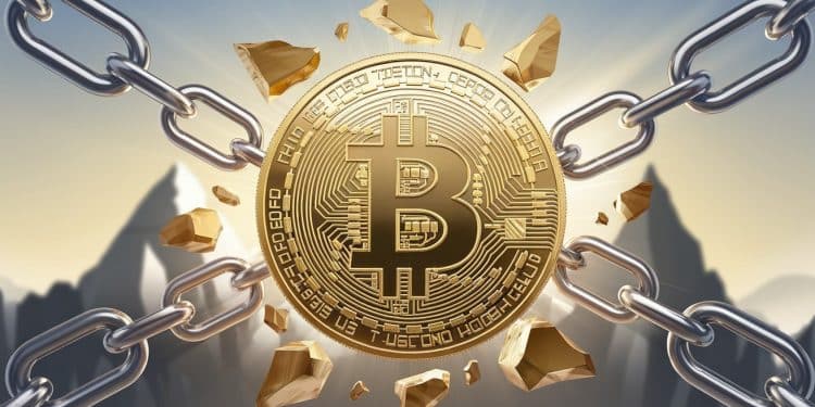 Le Bitcoin propulsé vers les 100K$ : Opérateurs optimistes - Viral Mag Dopé par les baisses de taux et lélection de Trump le Bitcoin séduit les investisseurs Cardano flambe un rallye haussier samorce Viral Mag