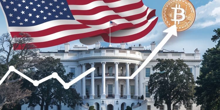 Le Bitcoin franchit les 75 000 $ pour la 1ère fois dopé par la perspective dune victoire de Trump et dun cadre réglementaire assoupli pour les cryptos   Viral Mag