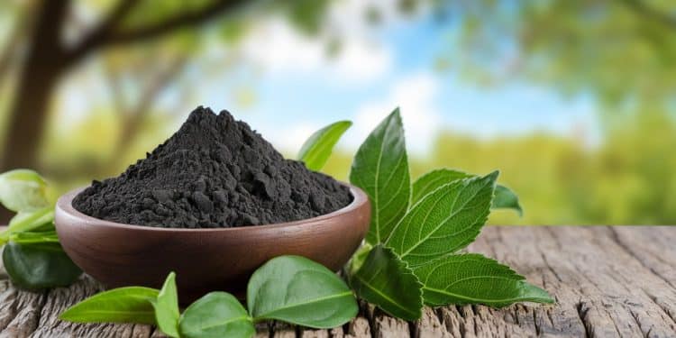 Le Charbon Végétal : L’Allié Naturel Pour Une Peau Éclatante - Viral Mag Découvrez les bienfaits du charbon végétal un ingrédient naturel aux propriétés purifiantes exceptionnelles qui promet une peau nette et lumineuse Conseils dutilisation et précautions à prendre pour en tirer le meilleur parti sans risque   Viral Mag