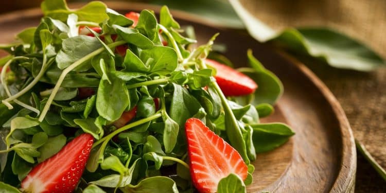 Le cresson, le légume méconnu plébiscité par les CDC pour sa densité nutritionnelle - Viral Mag Découvrez le cresson ce légume vert polyvalent aux multiples bienfaits santé adopté par une blogueuse culinaire depuis des décennies et recommandé par les CDC Viral Mag