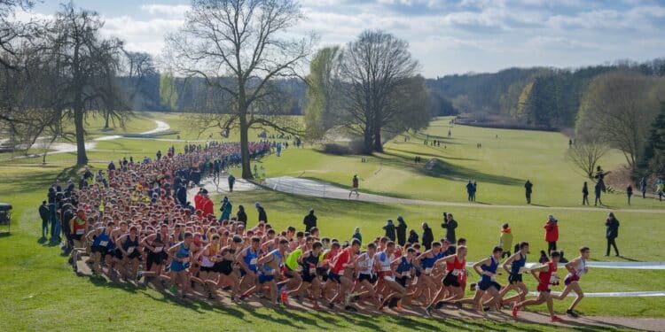 Nouveau record de participation pour le Cross du Figaro à Saint Cloud avec 11 500 coureurs inscrits Les Jeux Olympiques de Paris 2024 inspirent les amateurs   Viral Mag