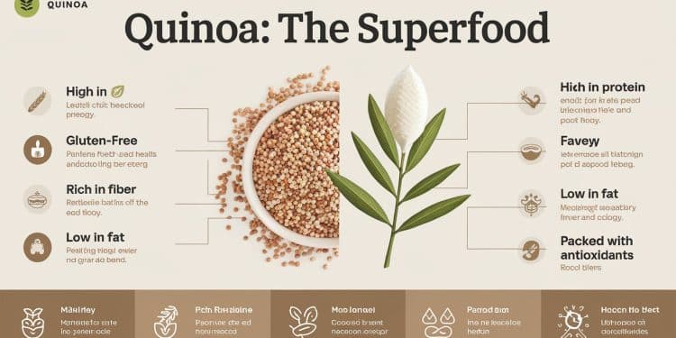 Le Quinoa : Un Superaliment Aux Multiples Bienfaits Santé - Viral Mag Découvrez pourquoi le quinoa est considéré comme un superaliment et comment lintégrer facilement dans votre alimentation pour profiter de ses nombreux bienfaits santé Viral Mag