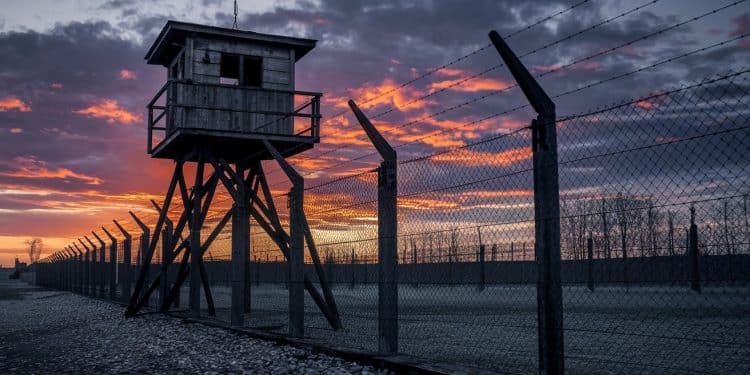 L’Ombre du Commandant : Un Documentaire Édifiant sur Auschwitz - Viral Mag Découvrez LOmbre du Commandant un nouveau documentaire révélant lhistoire méconnue du commandant dAuschwitz et de sa famille à travers les yeux de son petit fils Viral Mag