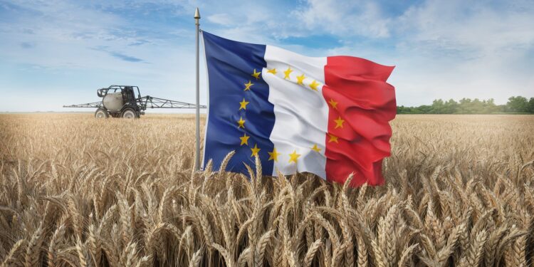 Pesticides en France : La Ministre de l’Agriculture Plaide pour l’Harmonisation Européenne - Viral Mag Lors dune visite dans le Nord la Ministre de lAgriculture Annie Genevard a insisté sur lalignement des autorisations de pesticides en France avec le reste de lEurope Viral Mag