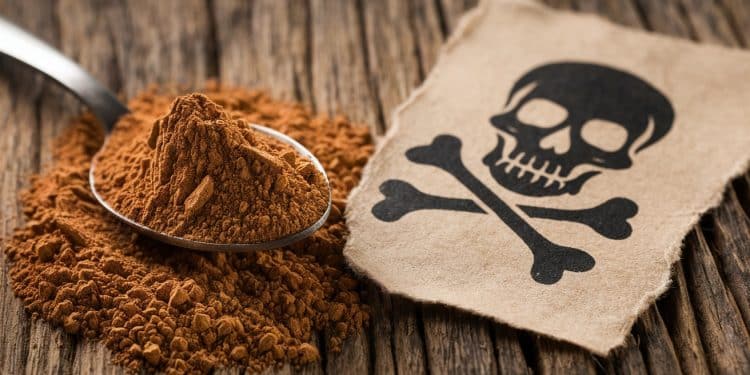 Rappel massif de produits à la cannelle en raison de taux élevés de plomb - Viral Mag De nombreuses marques de cannelle en poudre rappellent leurs produits suite à la découverte de niveaux élevés de plomb Vérifiez si votre cannelle est concernée pour éviter tout risque pour votre santé Viral Mag