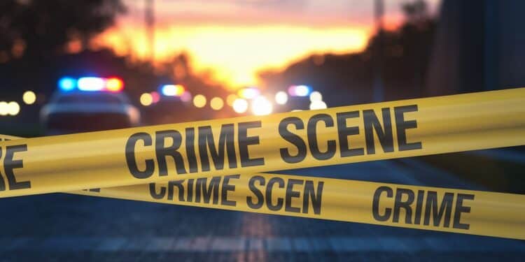 Un homme menaçant une femme avec des couteaux a été neutralisé par balle par la police municipale à Saint Étienne Le suspect est dans un état grave   Viral Mag