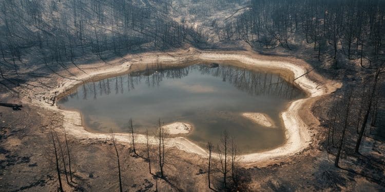 Sécheresse et incendies mettent New York en grande difficulté - Viral Mag La région new yorkaise subit une sécheresse record depuis 20 ans provoquant des incendies dévastateurs Les réserves deau chutent forçant les autorités à réagir Crise majeure liée au changement climatique Viral Mag