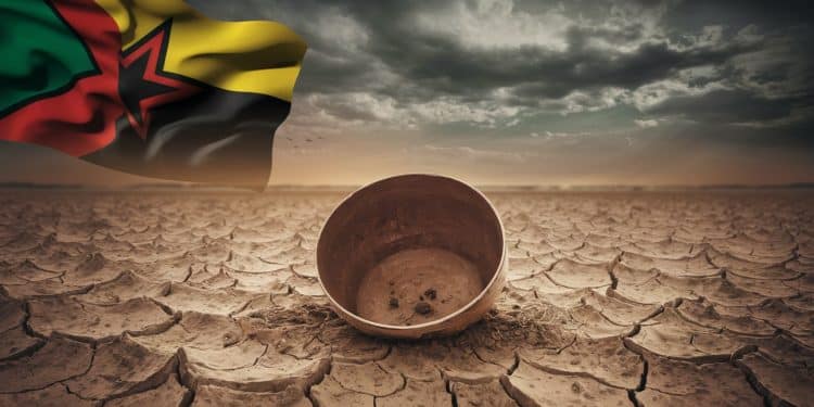 Soudan du Sud : L’ONU Alerte sur une Crise Alimentaire Majeure - Viral Mag Près de 60 de la population menacée dinsécurité alimentaire aiguë en 2024 selon les dernières projections de lONU Une situation humanitaire aggravée par les violences les inondations et lafflux de réfugiés   Viral Mag
