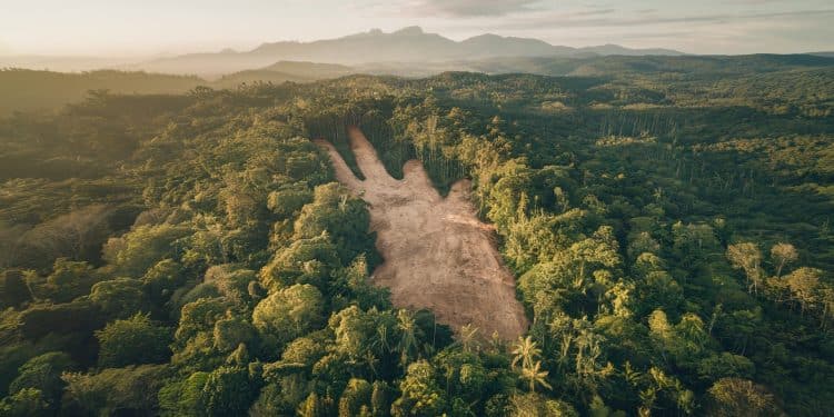 Lultime recours dune tribu indigène dIndonésie rejeté par la Cour suprême menaçant les forêts et les modes de vie ancestraux Un coup dur pour la préservation des peuples autochtones   Viral Mag