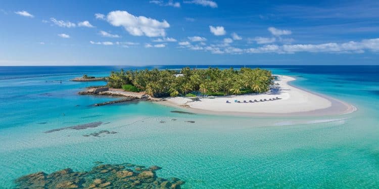 Découvrez les 10 meilleures activités à faire absolument lors de votre séjour sur lîle de Djerba en Tunisie Des plages paradisiaques aux monuments historiques en passant par les sports nautiques et les délices culinaires ne manquez rien des trésors de cette île ensoleillée    Viral Mag