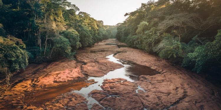 Une Sécheresse Exceptionnelle Perturbe la Vie en Guyane - Viral Mag La Guyane subit une sécheresse exceptionnelle depuis 18 mois perturbant fortement la vie quotidienne sur les fleuves Découvrez lampleur de limpact sur la population Viral Mag