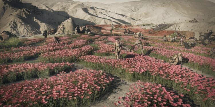 Arrestation record de cultivateurs de pavot à opium dans le nord est de lAfghanistan malgré linterdiction des Talibans Les enjeux de cette culture controversée   Viral Mag